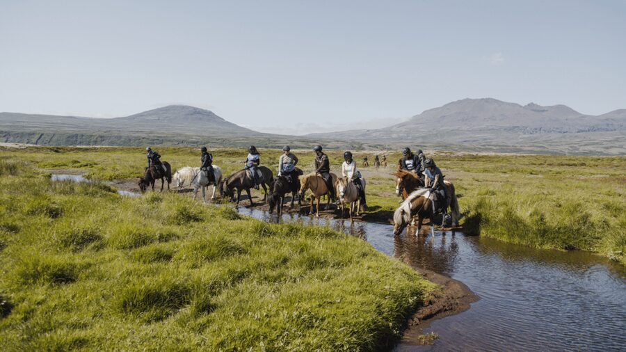 Borgarnes: Horseback Riding Tour with Prep Lesson - Key points to know before booking