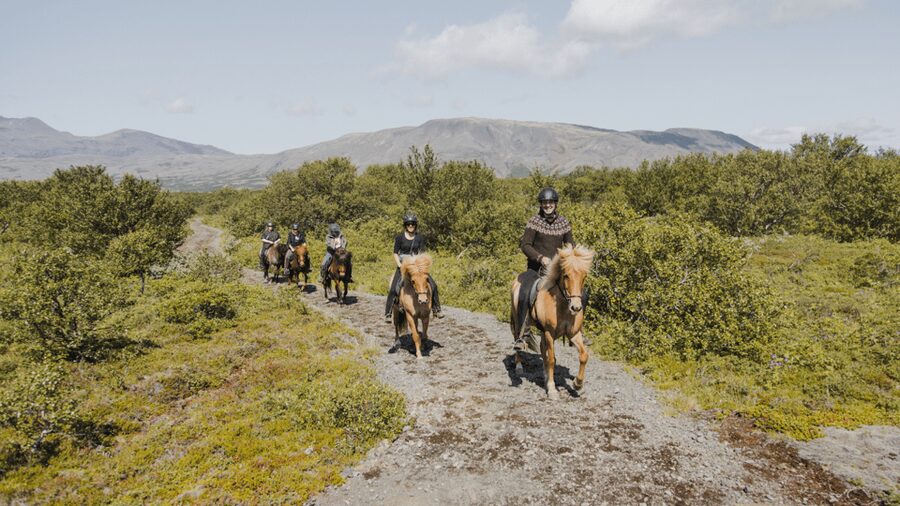 Borgarnes: Horseback Riding Tour with Prep Lesson - The 1.5-hour trail follows the countryside near the farm