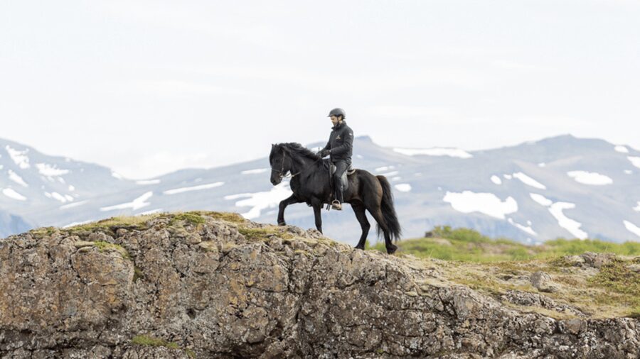 Borgarnes: Horseback Riding Tour with Prep Lesson - What the price includes, and what it does not