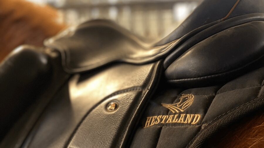 Borgarnes: Horseback Riding Tour with Prep Lesson - The indoor arena makes the first ride less stressful