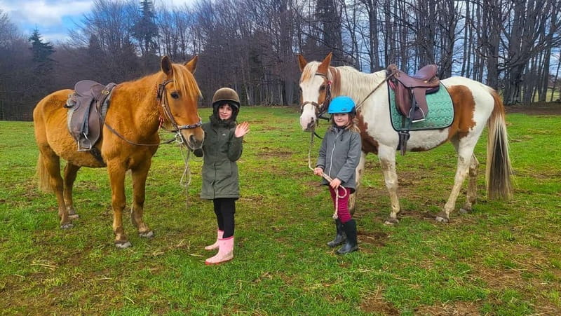 Borovets: Horse Riding Experience - Meeting at Ski & Board Traventuria in Borovets