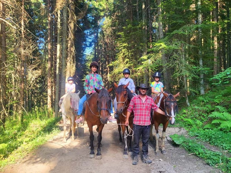 Borovets: Horse Riding Experience - What beginners learn in the closed field