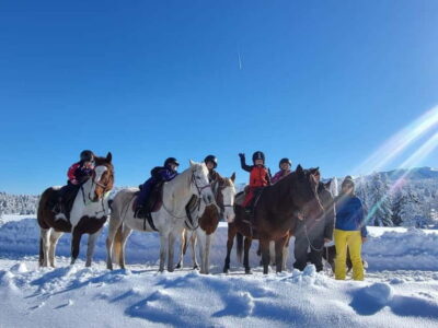 Borovets: Horse Riding Experience