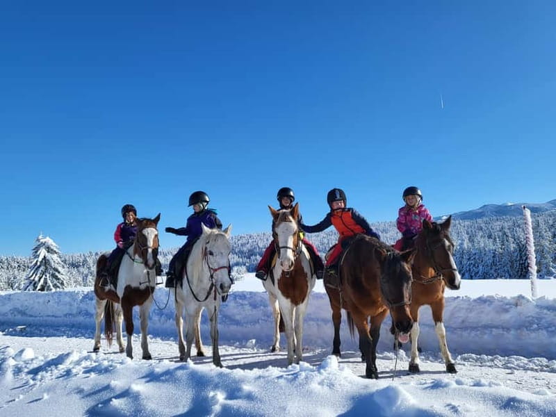 Borovets: Horse Riding Experience - Who will enjoy this Borovets activity most