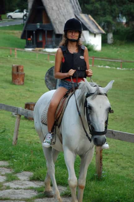 Brașov: Horseback Riding Experience - Key points to know before you book