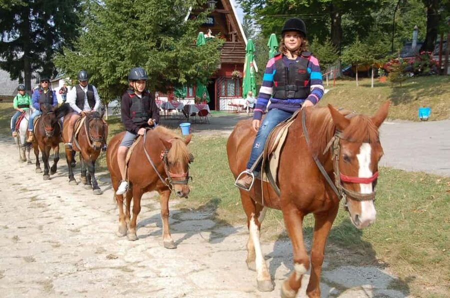 Brașov: Horseback Riding Experience - Leaving Brașov for the riding location