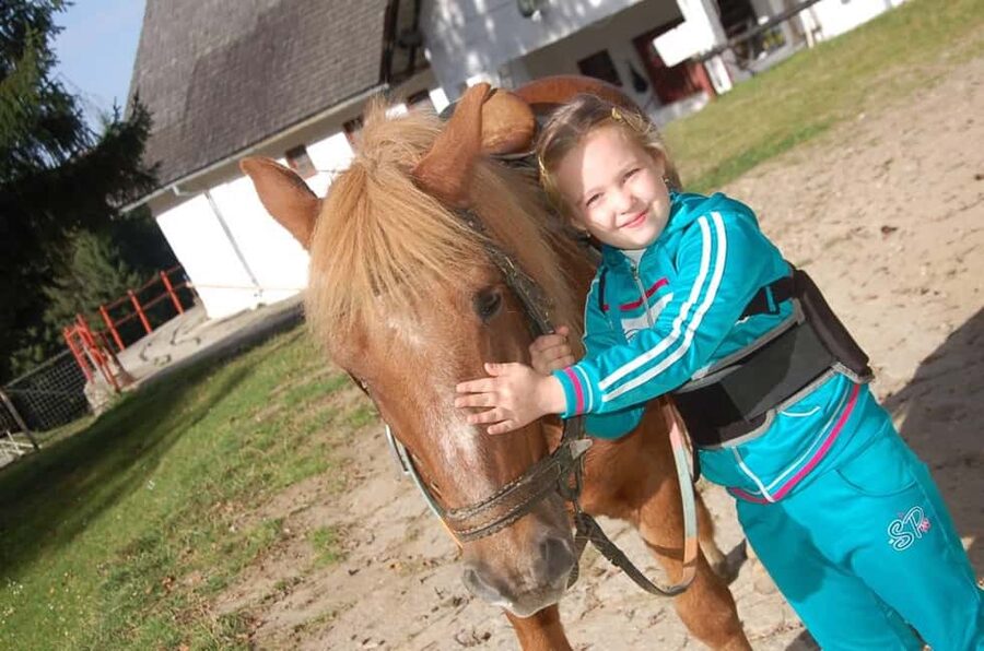 Brașov: Horseback Riding Experience - What the $131 price really covers