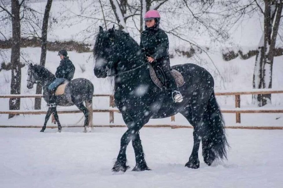 Brașov: Horseback Riding Experience - Should you book the Brașov horseback ride?