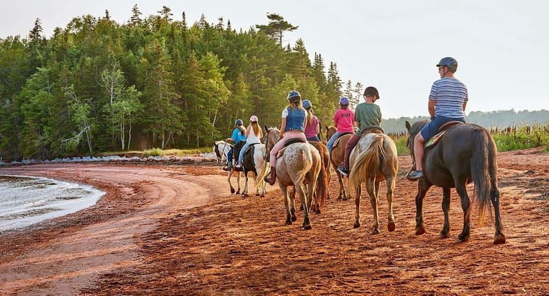 Brudenell: Family-Friendly Horse Ride goes on the Beach - Key points at a glance