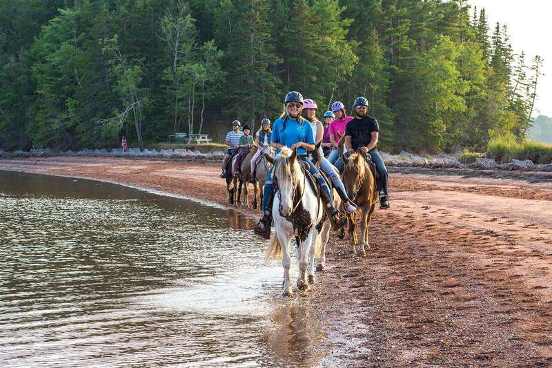 Brudenell: Family-Friendly Horse Ride goes on the Beach - From Brudenell stables to the beach