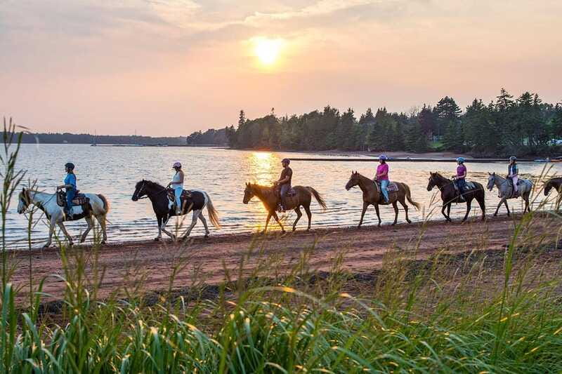 Brudenell: Family-Friendly Horse Ride goes on the Beach - Why the 45-minute length can be a good fit