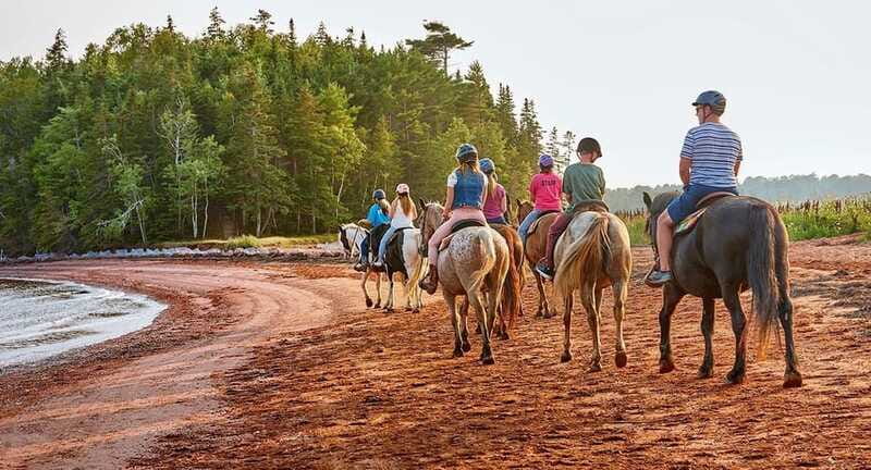 Brudenell: Family-Friendly Horse Ride goes on the Beach - Finishing with ice cream