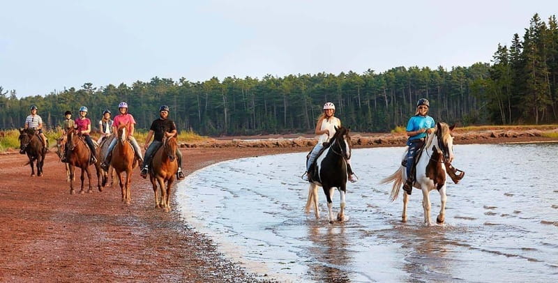 Brudenell: Family-Friendly Horse Ride goes on the Beach - What the beach portion feels like