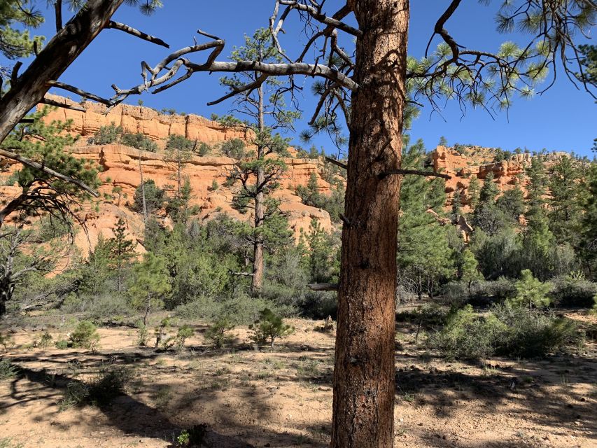 Bryce Canyon City: Horseback Riding Tour in Red Canyon - Starting in Bryce and reaching the trail