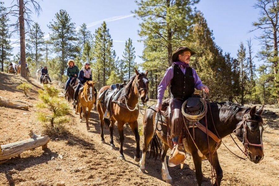 Bryce Canyon City: Horseback Riding Tour in Red Canyon - What the three hours feel like
