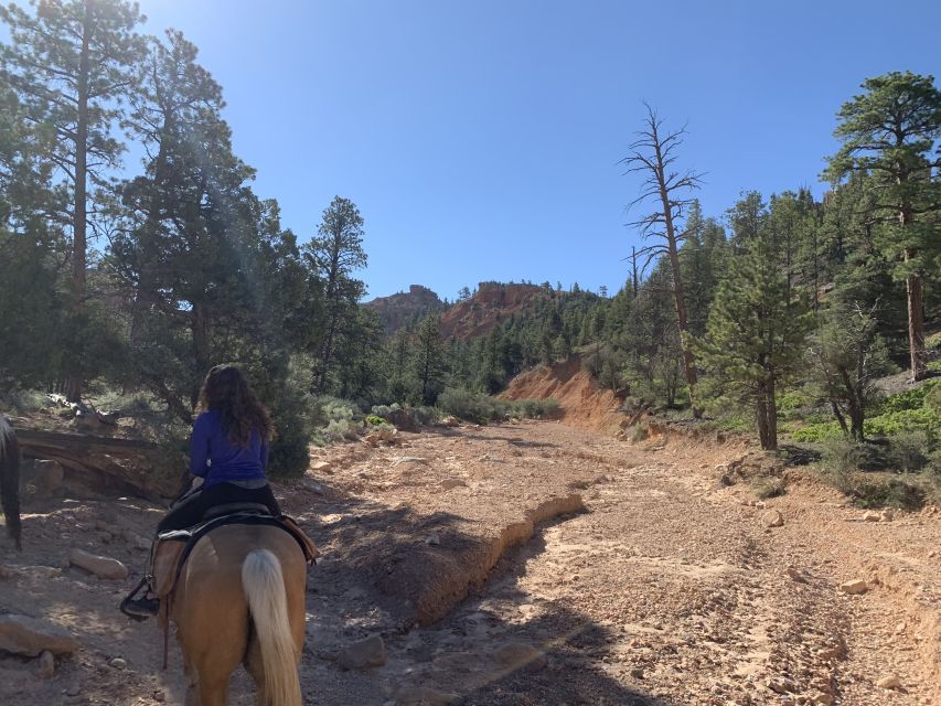 Bryce Canyon City: Horseback Riding Tour in Red Canyon - Weather, clothing, and comfort