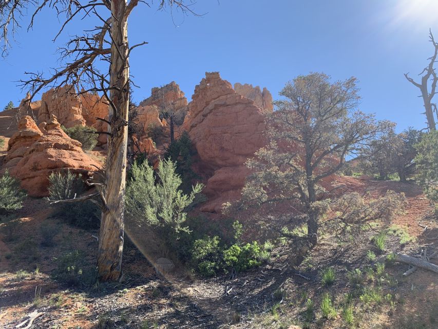 Bryce Canyon City: Horseback Riding Tour in Red Canyon - Choosing the right horse and settling into the saddle