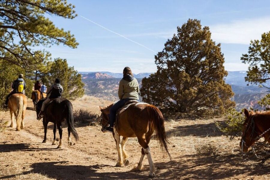Bryce Canyon: Horseback Ride in the Dixie National Forest - Key Points to Know Before You Saddle Up