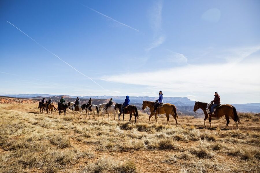 Bryce Canyon: Horseback Ride in the Dixie National Forest - Bristlecone Pines and High Country Scenery