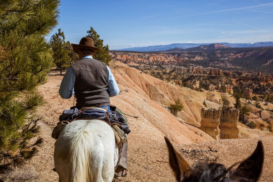 Bryce Canyon: Horseback Ride in the Dixie National Forest - Getting Comfortable With Your Horse