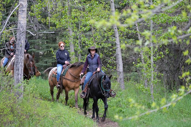 Buffalo Loop 1-Hour Horseback Trail Ride in Kananaskis - Key points before you book