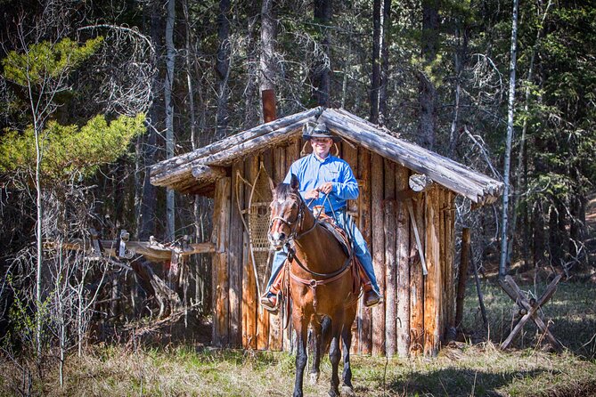 Buffalo Loop 1-Hour Horseback Trail Ride in Kananaskis - Meeting the horses at Boundary Ranch