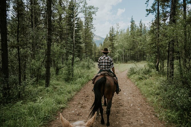 Buffalo Loop 1-Hour Horseback Trail Ride in Kananaskis - How much value do you get for $77.91?