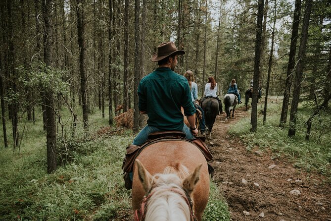 Buffalo Loop 1-Hour Horseback Trail Ride in Kananaskis - Families, older adults, and solo riders