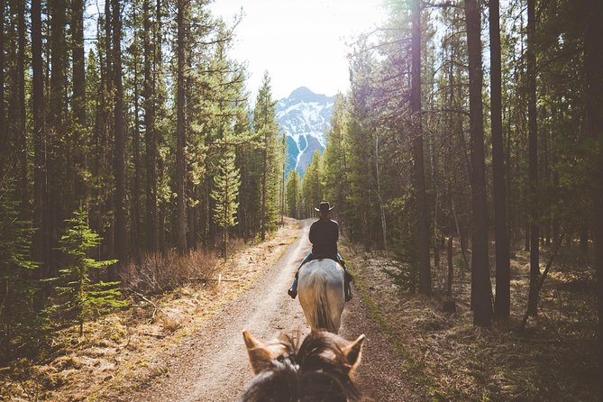 Buffalo Loop 1-Hour Horseback Trail Ride in Kananaskis - The Buffalo Loop through the forest