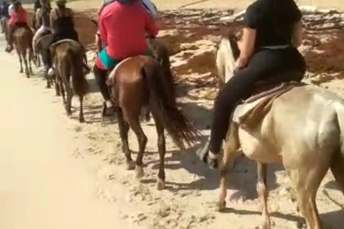 Buggies & Horses in Punta Cana: Double the Thrill in One Tour - Timing, pickup, and practical planning