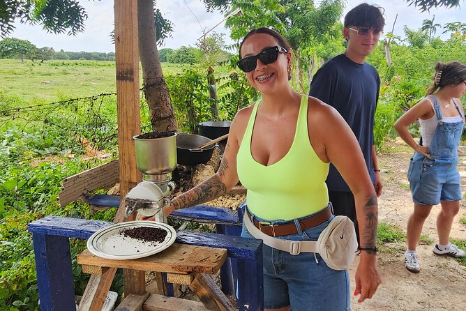 Buggy, horse and plantation ranch - Key points at a glance