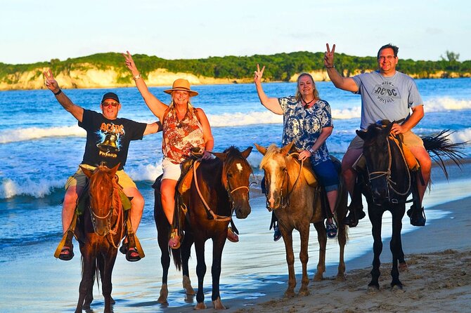 Buggy, horse and plantation ranch - Pickup, timing, and group size