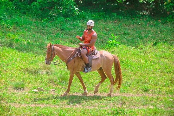 Buggy, Horse and Zip Line with Lunch included from Punta Cana - Eight zip lines above Macao
