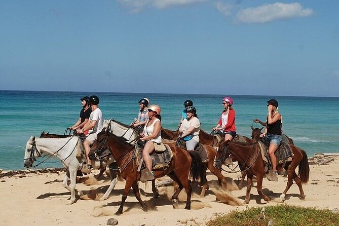 Buggy Horses and Zip Line from Punta Cana with Lunch Included - Why this Punta Cana combo works