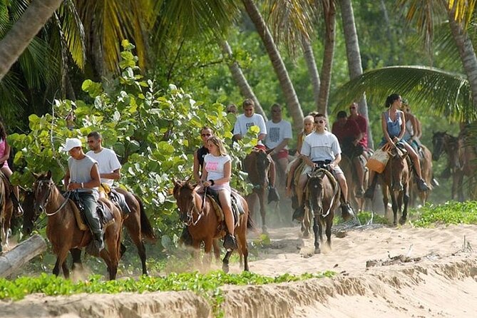 Buggy Horses and Zip Line from Punta Cana with Lunch Included - Buggy riding through Punta Cana’s dirt roads