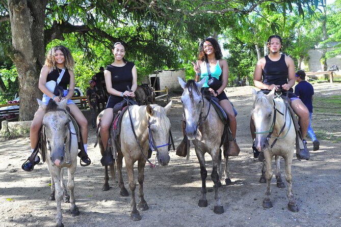 Buggy Ride, Horseback, Zipline,Eco Farm,Macao Beach - Three Adventures Before Lunch