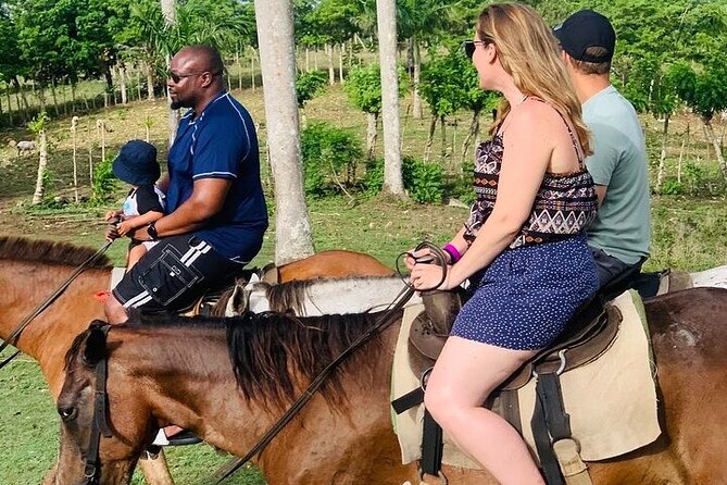 Buggy Ride, Horseback, Zipline,Eco Farm,Macao Beach - Ziplining Above The Trees