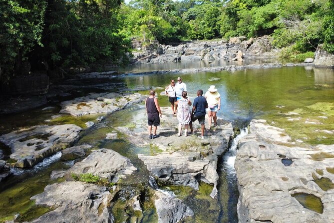 Buggy Ride, Horseback, Zipline,Eco Farm,Macao Beach - Is $130 A Fair Price?