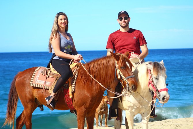 Cabo Desert Off-Road & Beach Horseback Combo and Tequila Tasting - From hotel pickup to the Baja trails