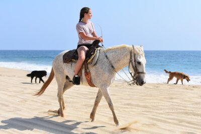 Cabo Desert Off-Road & Beach Horseback Combo and Tequila Tasting