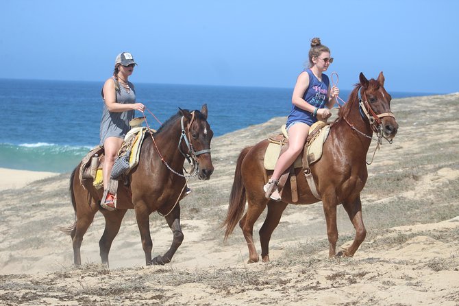 Cabo Desert Off-Road & Beach Horseback Combo and Tequila Tasting - Group ride or private guide?