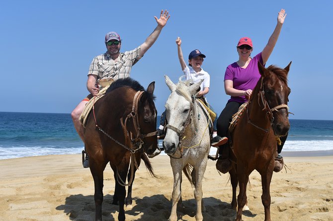 Cabo Desert Off-Road & Beach Horseback Combo and Tequila Tasting - The $100 price and the extra charges