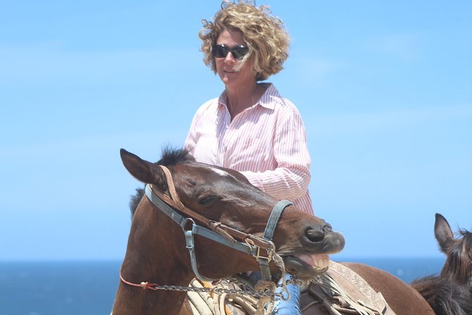 Cabo Desert Off-Road & Beach Horseback Combo and Tequila Tasting - The tequila tasting and end of the visit