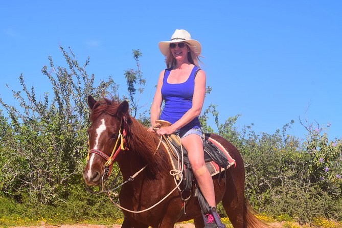Cabo Desert Off-Road & Beach Horseback Combo and Tequila Tasting - Who will enjoy this Cabo outing?