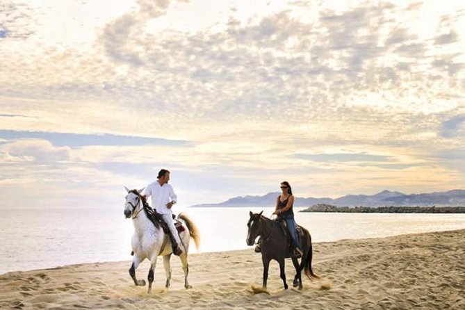 Cabo San Lucas Beach and Desert Horseback Ride - Key points before you book