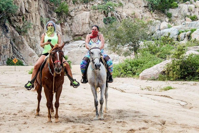 Cabo San Lucas Beach and Desert Horseback Ride - Why the Migrino setting is worth the drive