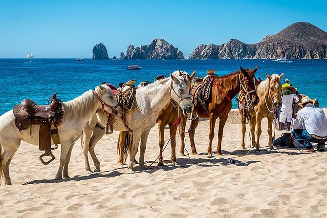 Cabo San Lucas Beach and Desert Horseback Ride - Guides who can shape the day