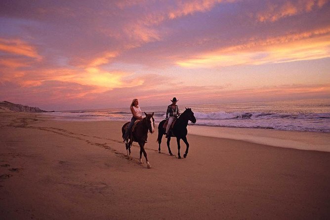 Cabo San Lucas Beach and Desert Horseback Ride - Transportation from Cabo and the timing issue