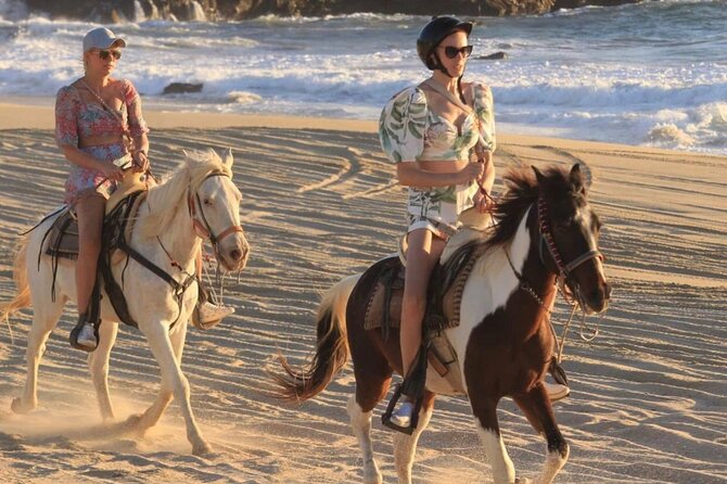 Cabo San Lucas Beach and Desert Horseback Ride - Price, fees, and the real value