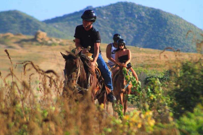 Cabo San Lucas: Beach & Desert Horseback Riding Tour - From Cabo San Lucas to El Migriño Beach